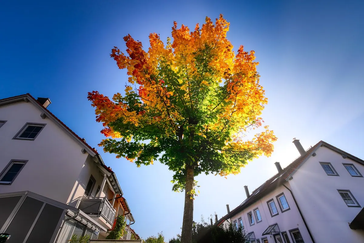 The Best Season to Sell Your Home in the UK: Month-by-Month Pros and Cons